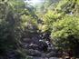 安吉黄浦江源龙王山