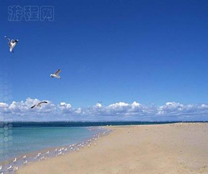 日照