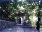 桐君山七里扬帆