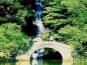 九溪烟树