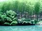 东明山森林公园